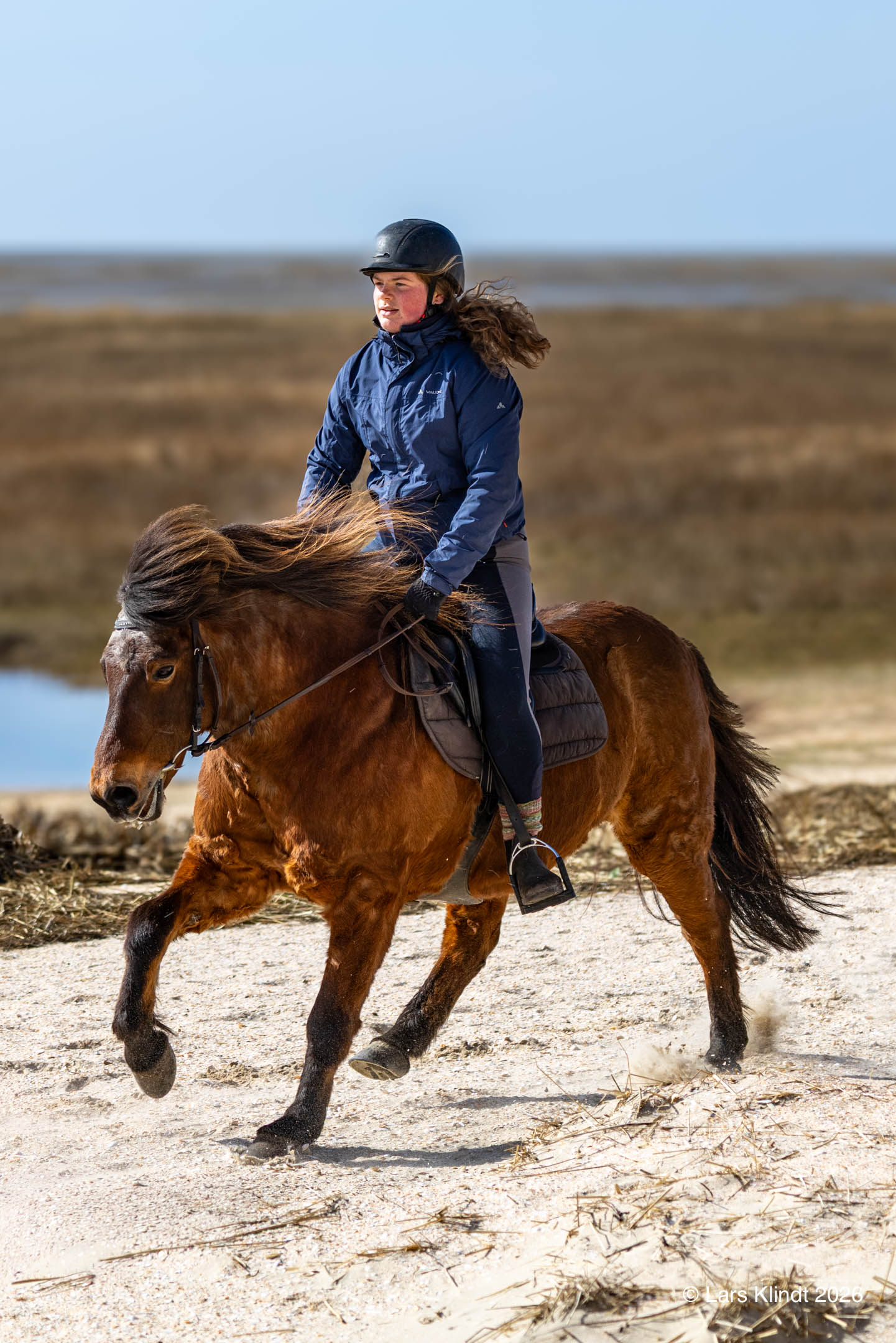 Rytter på Fanø Strand