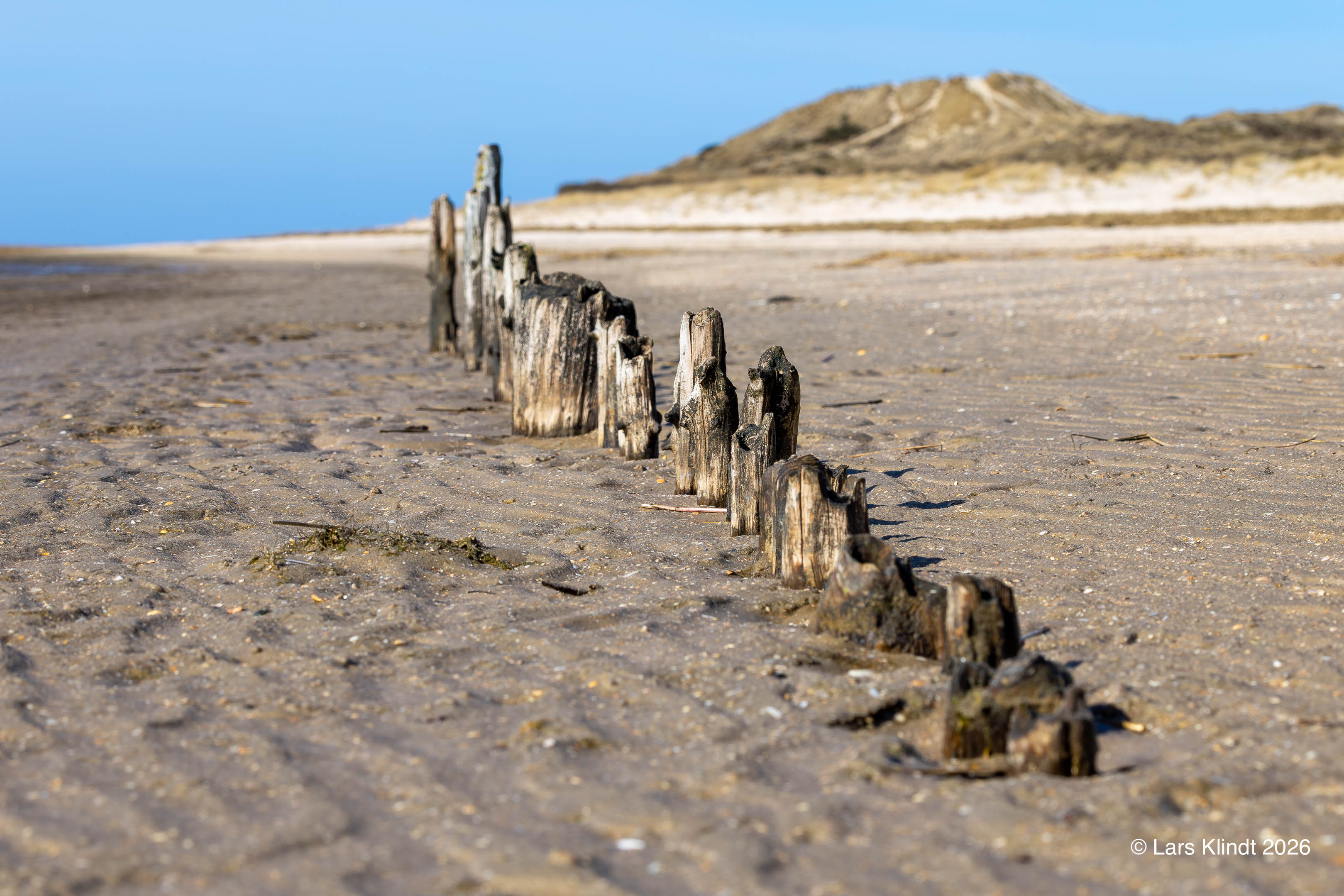 Stubbe på stranden