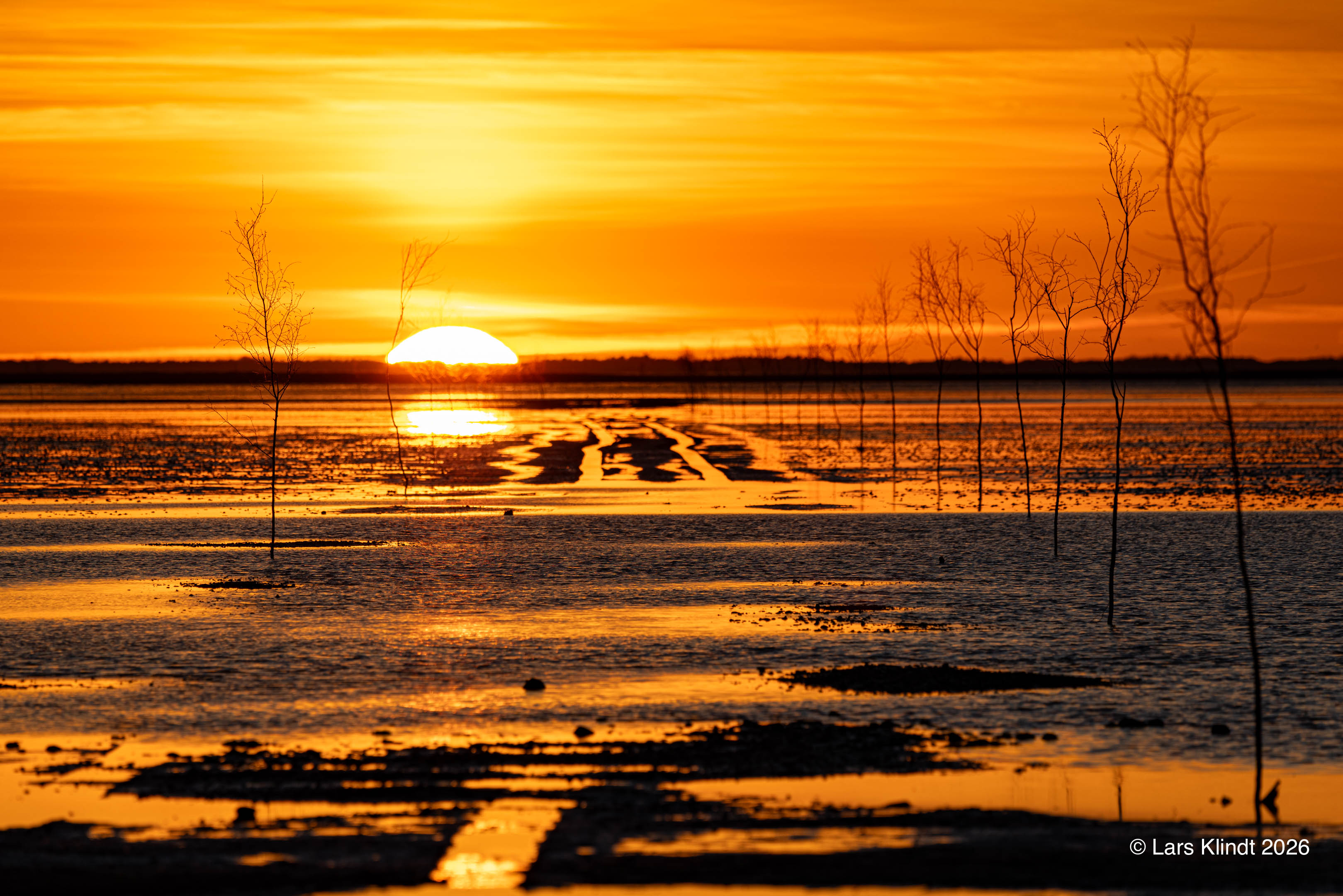 Solnedgang ved Mandø Ebbevej